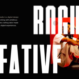 Rogue Studio 300x300 - Top 20 Web Design and Web Development Companies Right Now