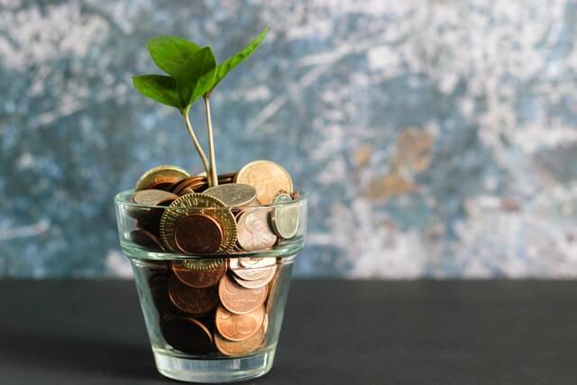 A plant in a pot full of coins that can be done for digital marketing and web design Philippines. A plant in a pot full of coins that can be done for digital marketing and web design Philippines.